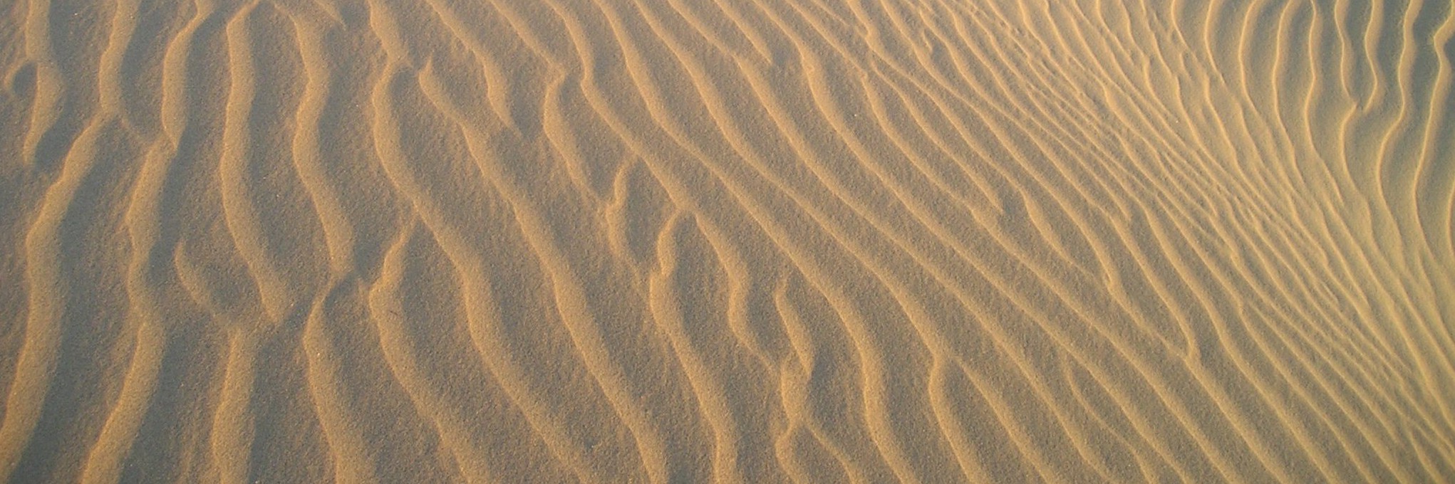 india_desert_sand